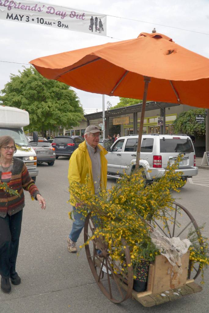 Quirky, secretive Scotch broom parade returns to Winslow | Photo gallery