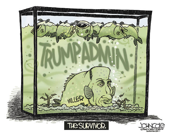 Trump’s 117th week in office | In cartoons