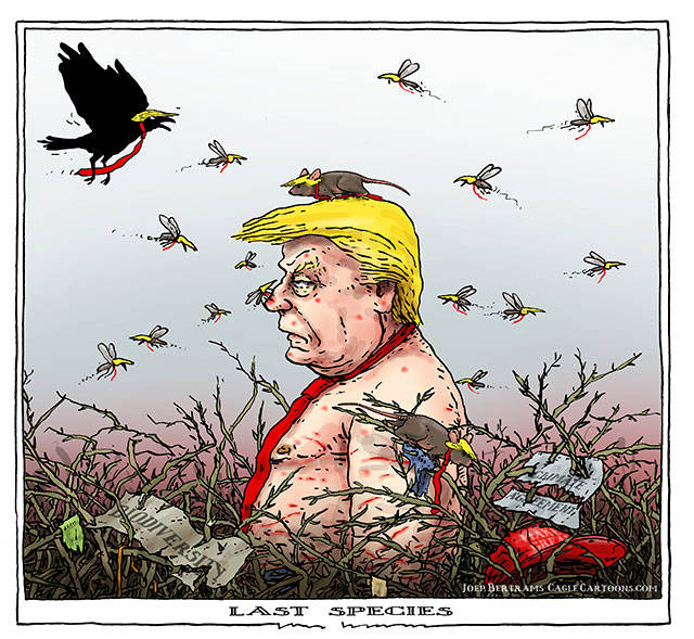 Trump’s 120th week in office | In cartoons