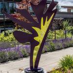 Public Art Committee announces Something New People’s Choice Awardee