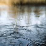 Frozen Memory by Mandi May. (Image courtesy of the BPA Gallery)