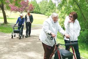 Volunteers Are Essential Part Of Beloved Bainbridge Nonprofit | Guest Viewpoint