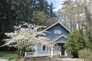 Island Center Hall hosts DJ-mix dance Saturday