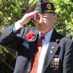 A salute to those who made the ultimate sacrifice | Photo gallery