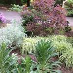 Visit private gardens on Bainbridge to benefit Garden Conservancy