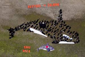 Human mural photo op staged in honor of Orca Action Month