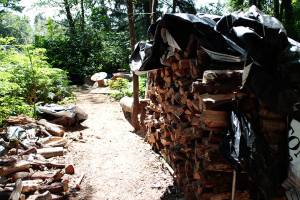 Final days for homeless camp near Highway 305 | Photo gallery