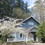 Island Center Hall hosts annual sock hop and ice cream social