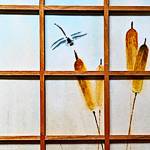 The Island Gallery presents a summer showcase with new exhibition