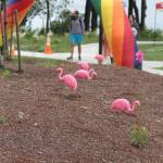 Pictures of Pride: Third Bainbridge festival draws biggest crowd yet — Part 2 | Photo gallery