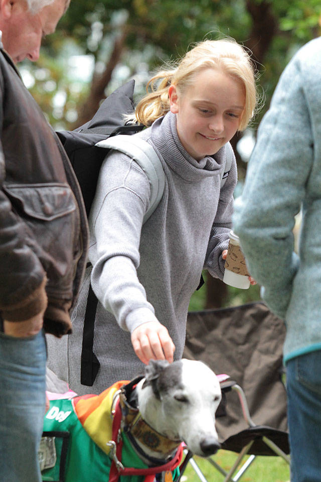 Pictures of Pride: Third Bainbridge festival draws biggest crowd yet — Part 2 | Photo gallery