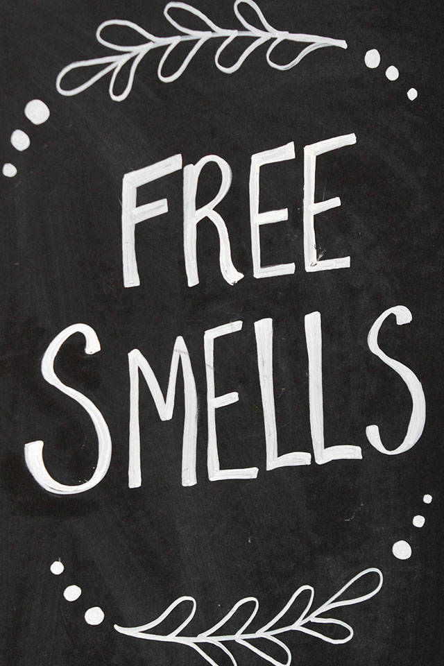 Pictures of Pride: Third Bainbridge festival draws biggest crowd yet — Part 2 | Photo gallery