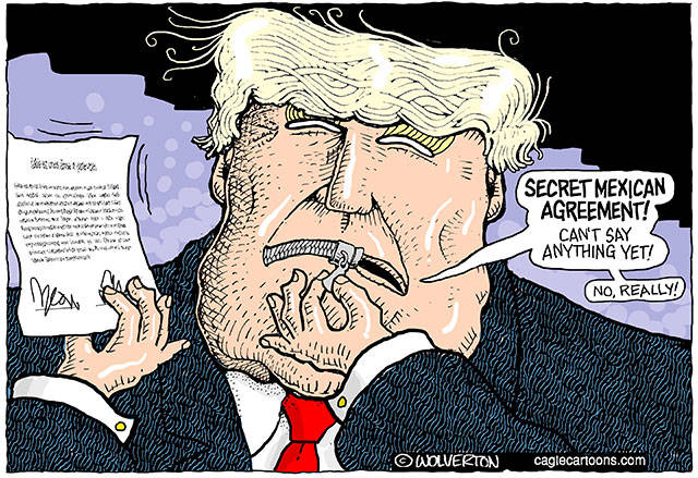 Trump’s 125th week in office | In cartoons