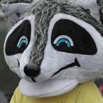 More 4 - A July Fourth extravaganza | Photo gallery