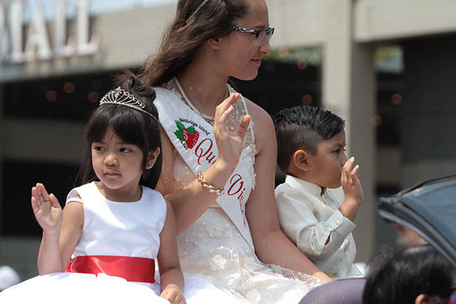 More 4 - A July Fourth extravaganza, Part 2 | Photo gallery