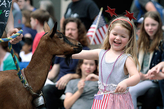 More 4 - A July Fourth extravaganza, Part 2 | Photo gallery