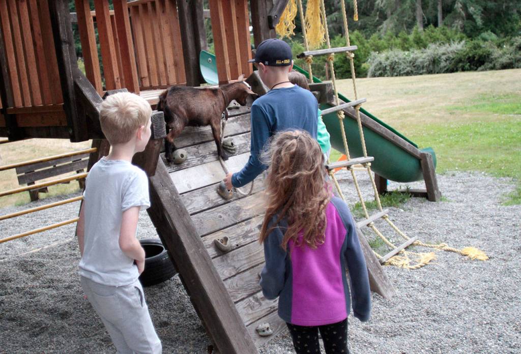 Living ‘On the Frontier’ at Rolling Bay Presbyterian bible school | Photo gallery