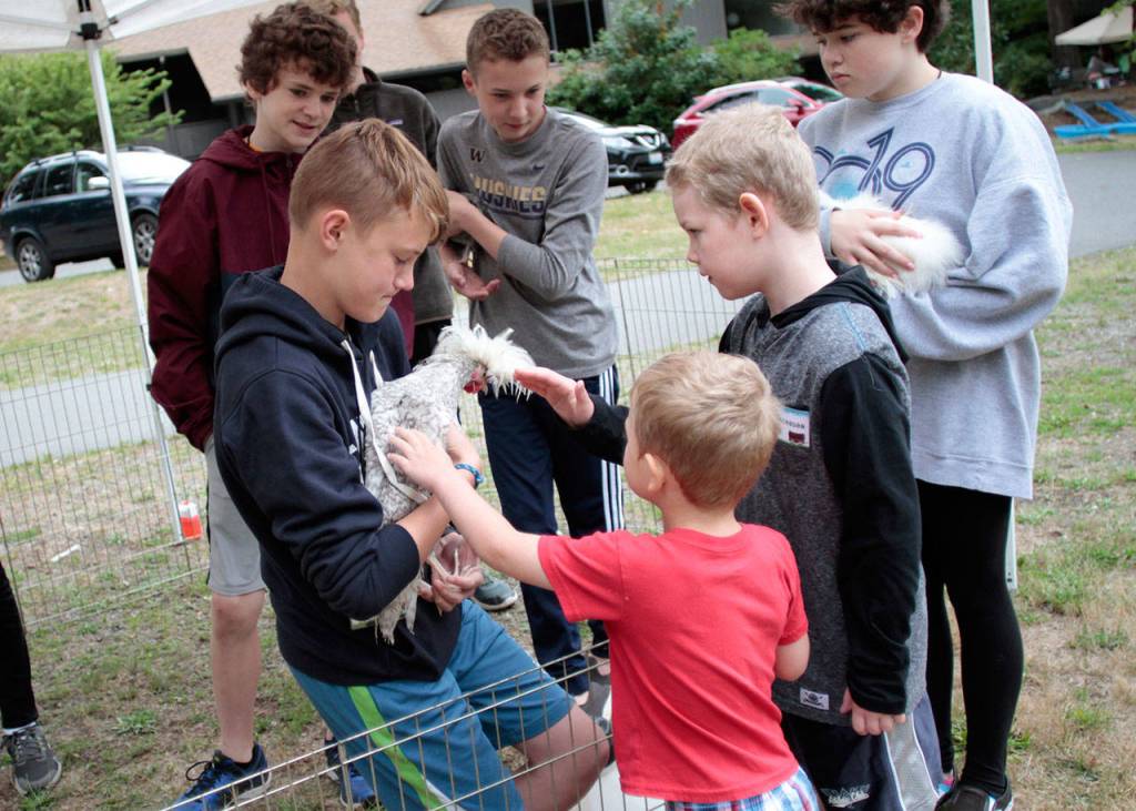 Living ‘On the Frontier’ at Rolling Bay Presbyterian bible school | Photo gallery