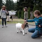 Living ‘On the Frontier’ at Rolling Bay Presbyterian bible school | Photo gallery