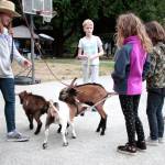 Living ‘On the Frontier’ at Rolling Bay Presbyterian bible school | Photo gallery
