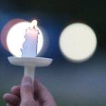 Lights of Liberty on Bainbridge Island | Photo gallery