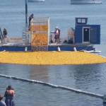 Whaling Days Festival comes to Silverdale this weekend