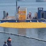 The big batch of yellow plastic quakers are ready to race during an earlier Silverdale Rotary Duck Race at Whaling Days.