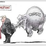 Trump’s 131st week in office | In cartoons