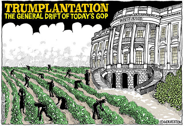 Trump’s 131st week in office | In cartoons