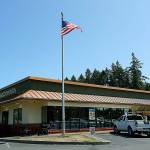 Design Review Board miffed about lack of authority in McDonald’s remodel