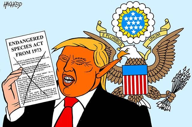 Trump’s 134th week in office | In cartoons