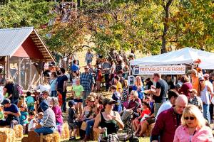 Island Harvest Fair set to return to Johnson Farm