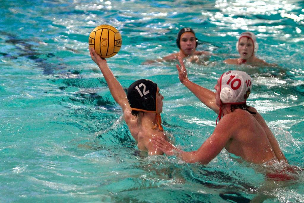 Bainbridge boys splash, shoot to water polo win against Newport | Photo gallery