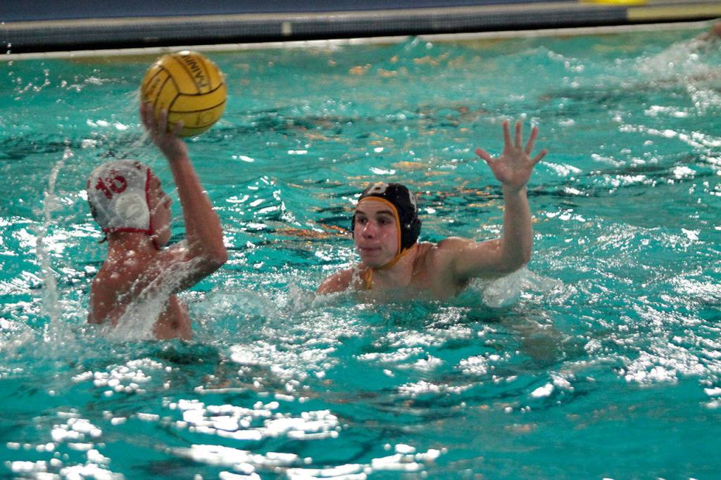 Bainbridge boys splash, shoot to water polo win against Newport | Photo gallery