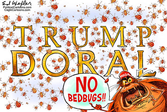 Trump’s 137th week in office | In cartoons