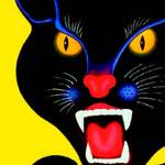 Bainbridge council may ban fireworks on island