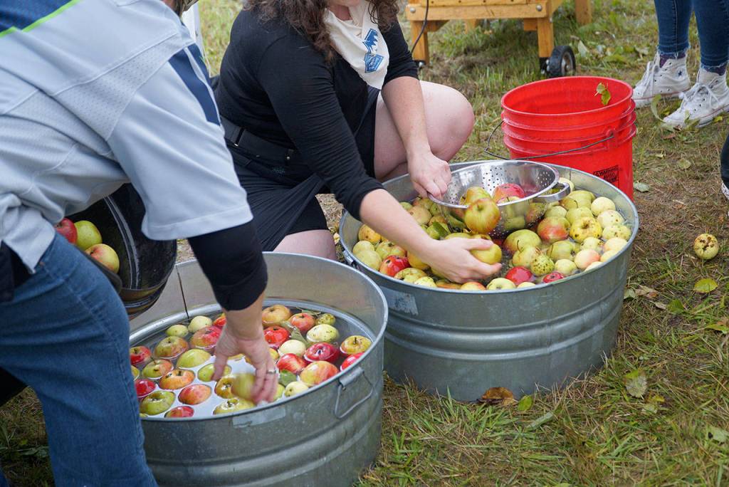 A bumper crop of good times: Annual Harvest Fair returns to Johnson Farm | Photo gallery