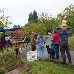 A bumper crop of good times: Annual Harvest Fair returns to Johnson Farm | Photo gallery