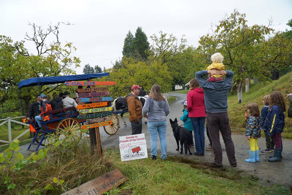 A bumper crop of good times: Annual Harvest Fair returns to Johnson Farm | Photo gallery