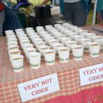 A bumper crop of good times: Annual Harvest Fair returns to Johnson Farm | Photo gallery