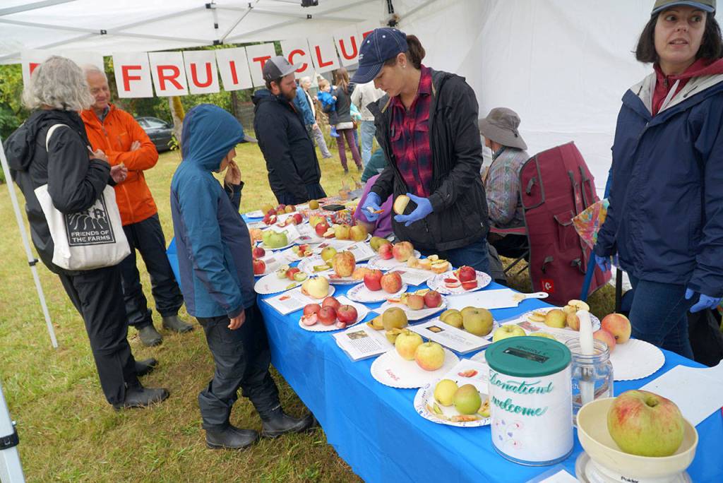 A bumper crop of good times: Annual Harvest Fair returns to Johnson Farm | Photo gallery