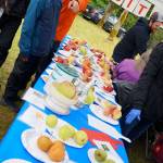 A bumper crop of good times: Annual Harvest Fair returns to Johnson Farm | Photo gallery