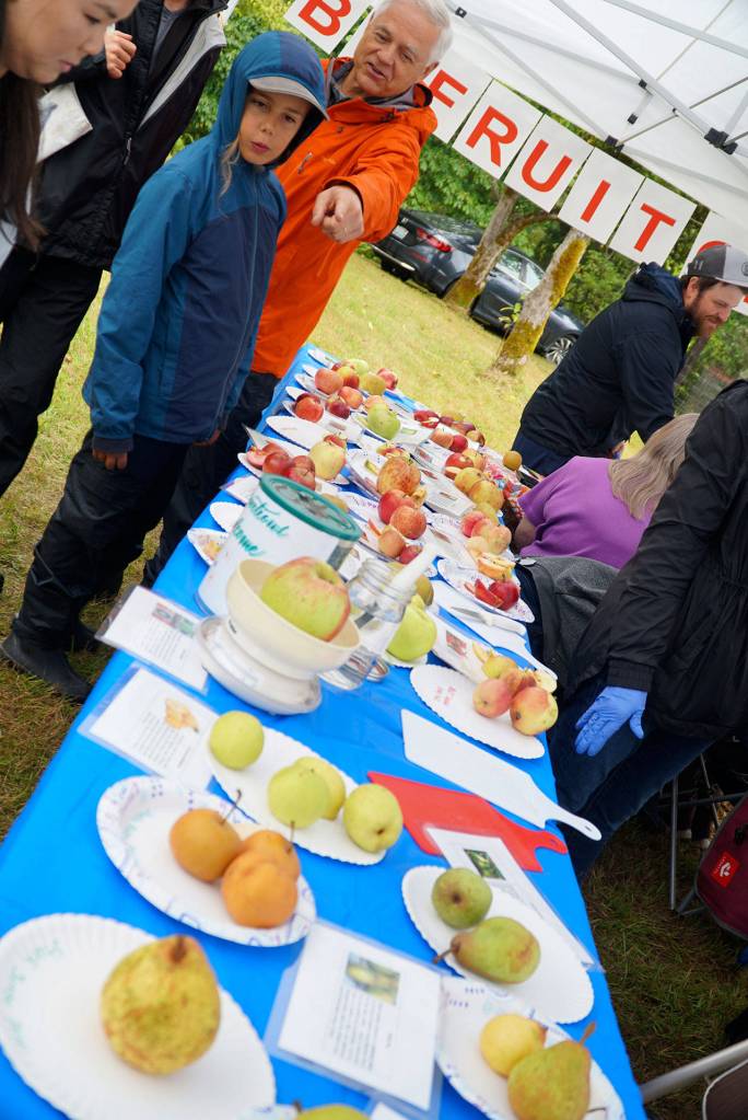 A bumper crop of good times: Annual Harvest Fair returns to Johnson Farm | Photo gallery