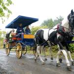 A bumper crop of good times: Annual Harvest Fair returns to Johnson Farm | Photo gallery