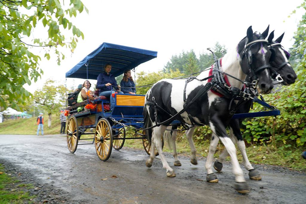 A bumper crop of good times: Annual Harvest Fair returns to Johnson Farm | Photo gallery