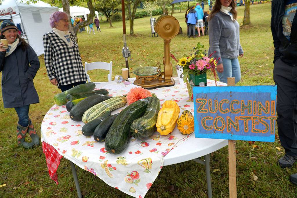 A bumper crop of good times: Annual Harvest Fair returns to Johnson Farm | Photo gallery