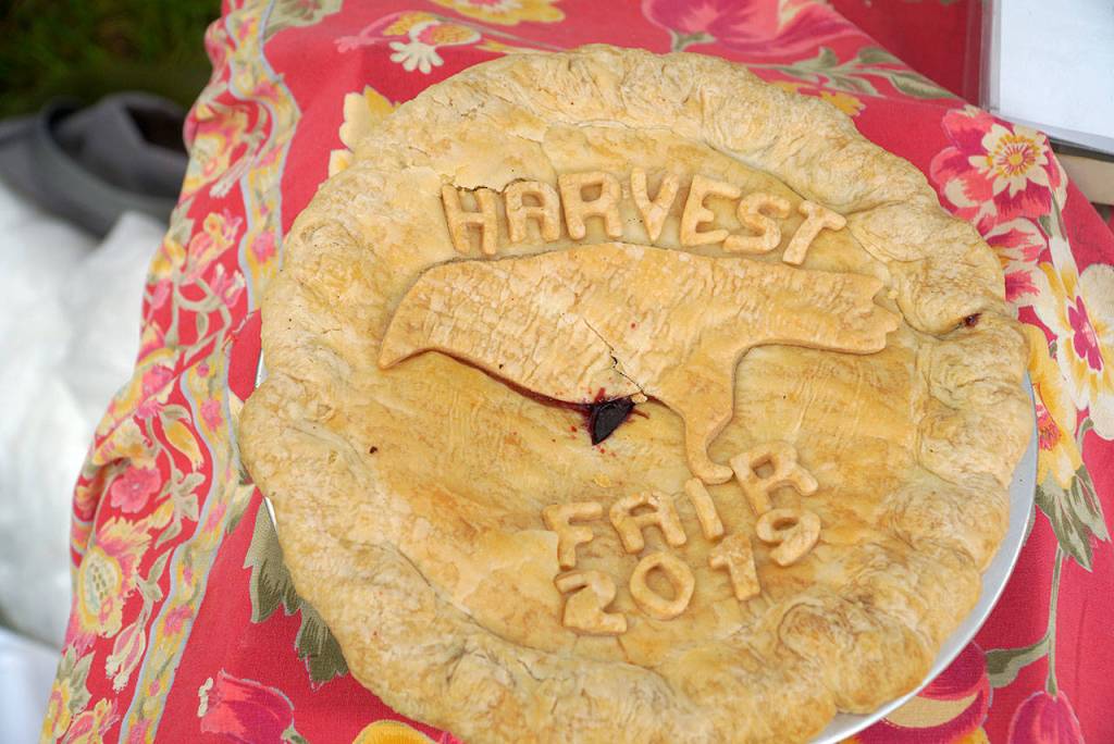 A bumper crop of good times: Annual Harvest Fair returns to Johnson Farm | Photo gallery