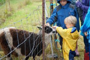 A bumper crop of good times: Annual Harvest Fair returns to Johnson Farm | Photo gallery