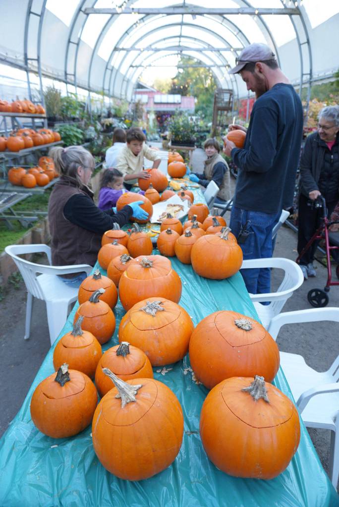 Prepping the pumpkins at Bainbridge Gardens | Photo gallery