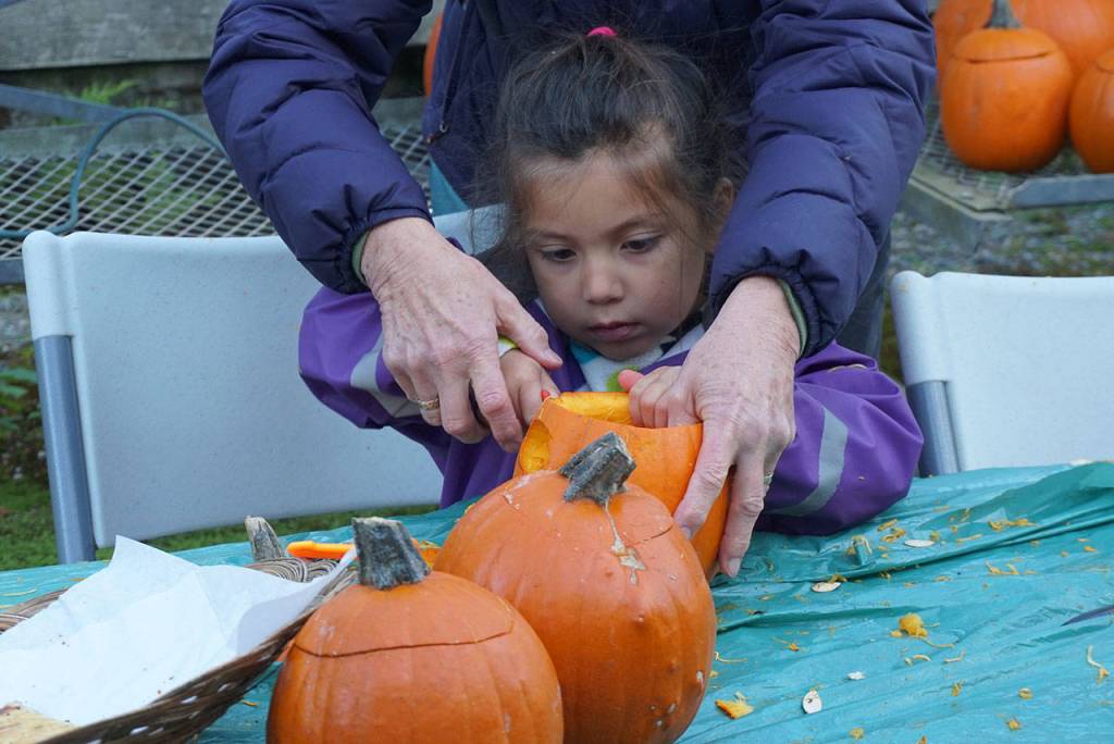 Prepping the pumpkins at Bainbridge Gardens | Photo gallery